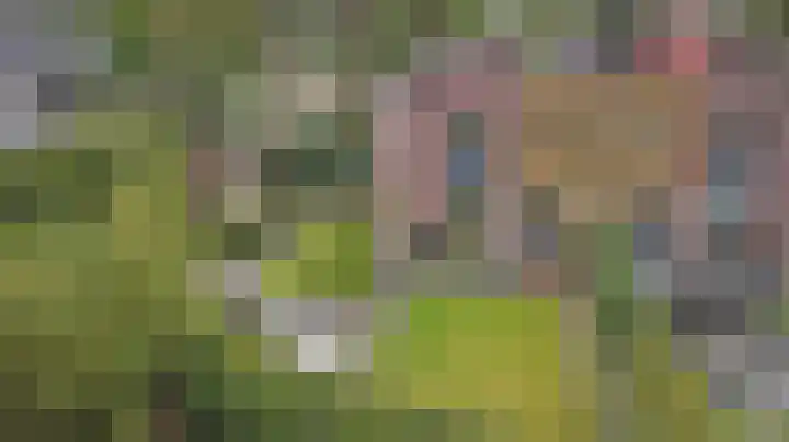 Arianehof 50 Ermelo thumbnail 38
