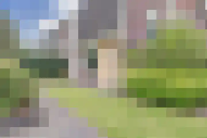 Arianehof 50 Ermelo thumbnail 5