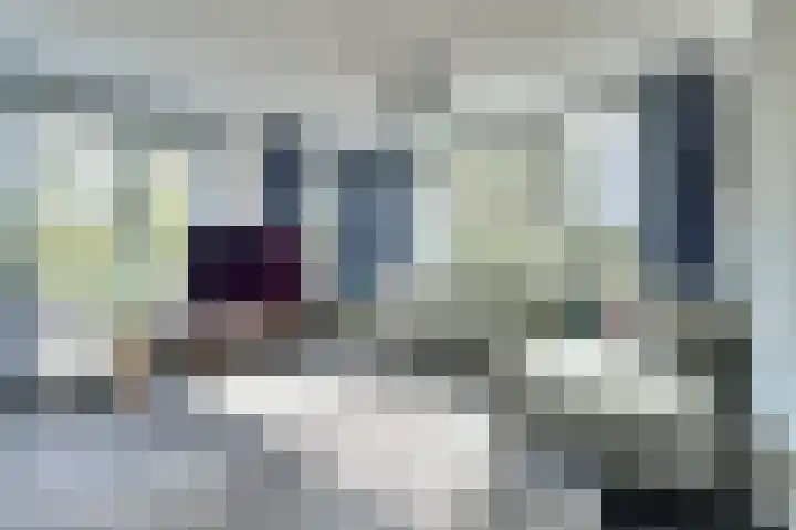 Arianehof 50 Ermelo thumbnail 9