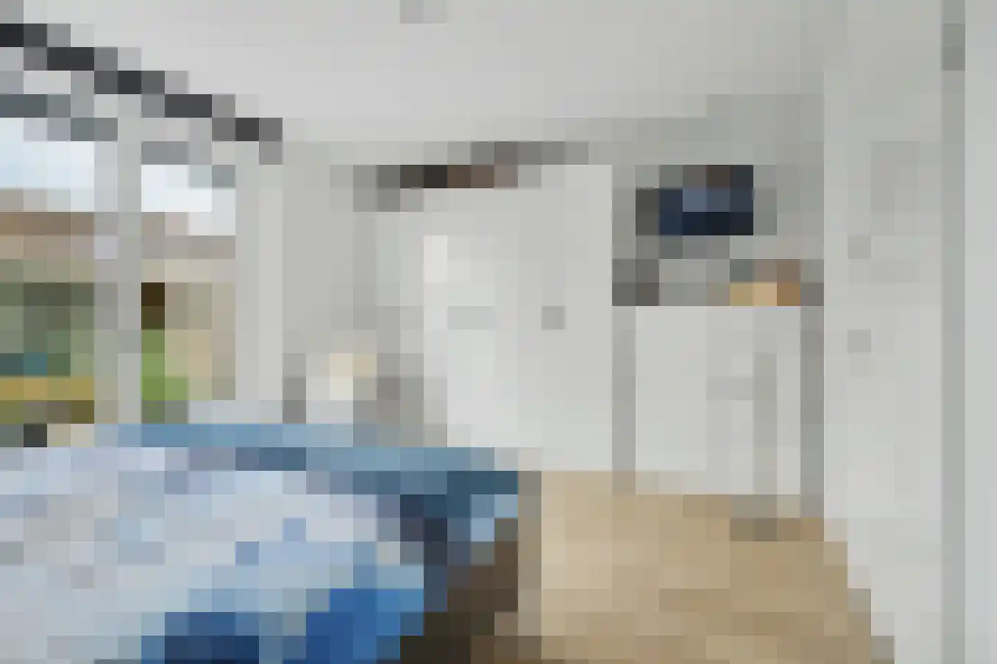 Arianestraat 10 Wissenkerke thumbnail 16