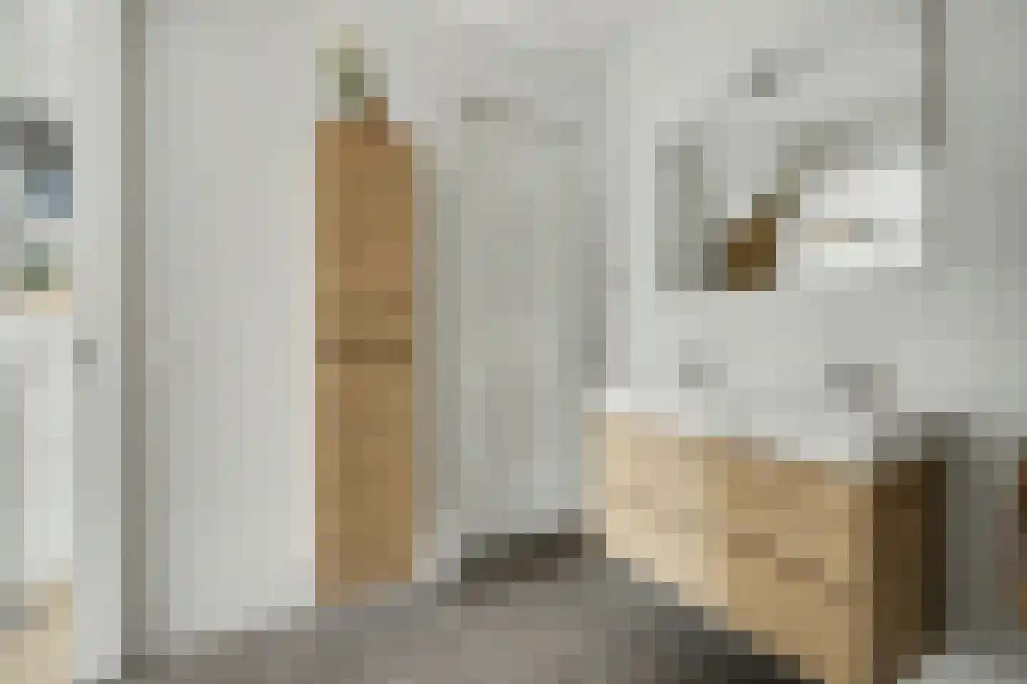 Arianestraat 10 Wissenkerke thumbnail 19