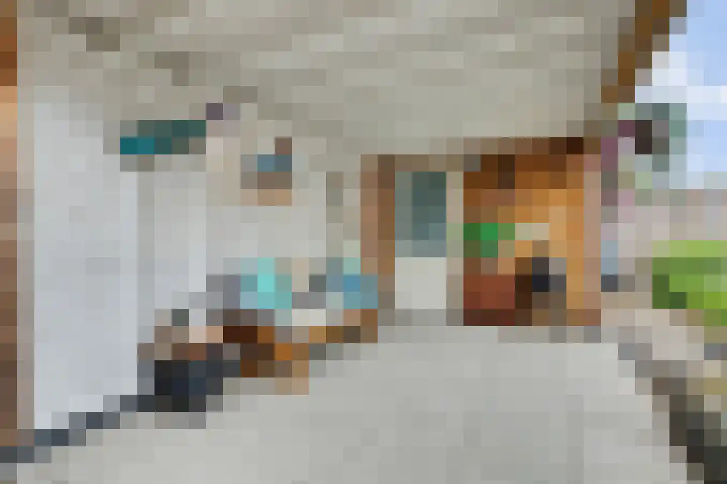 Arianestraat 10 Wissenkerke thumbnail 25
