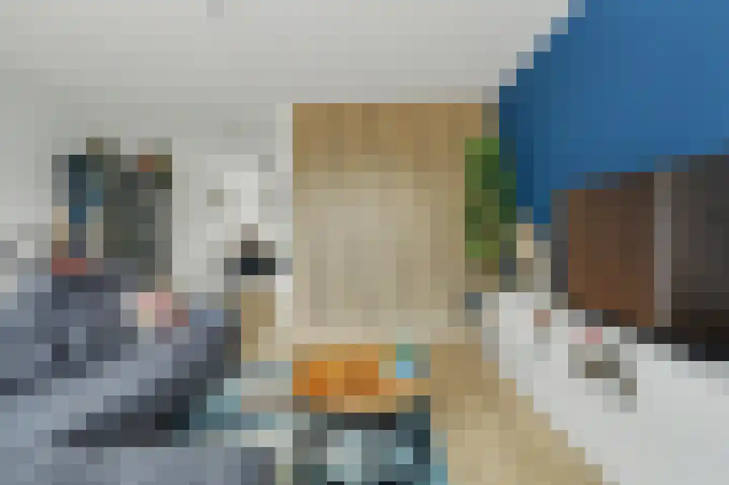 Arianestraat 10 Wissenkerke thumbnail 8