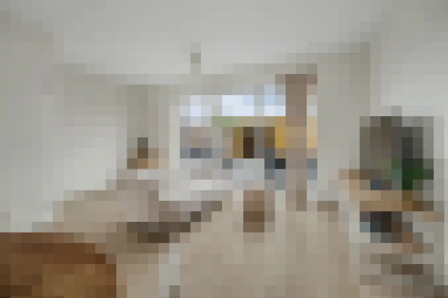 Arianestraat 13 Wissenkerke thumbnail 10