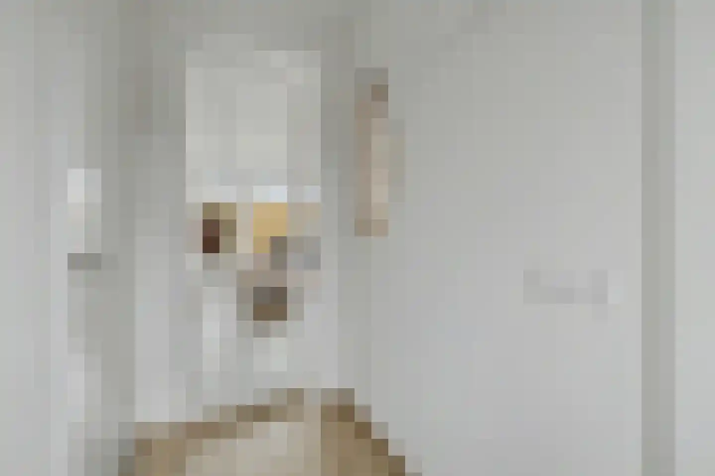 Arianestraat 13 Wissenkerke thumbnail 11