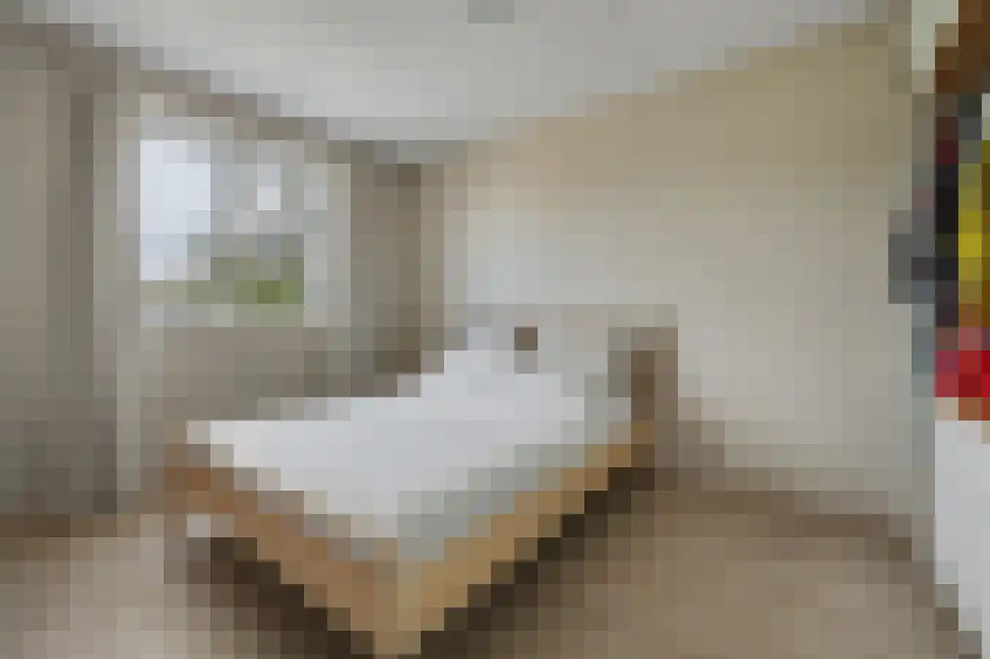 Arianestraat 13 Wissenkerke thumbnail 13