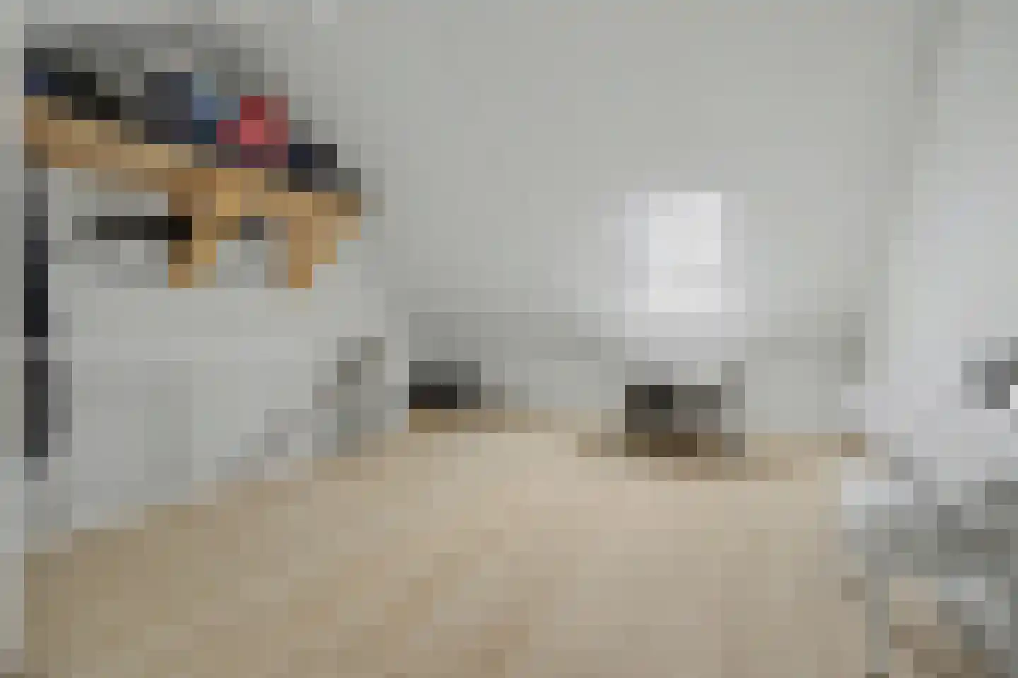 Arianestraat 13 Wissenkerke thumbnail 21