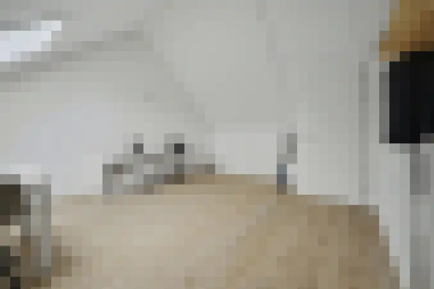 Arianestraat 13 Wissenkerke thumbnail 22