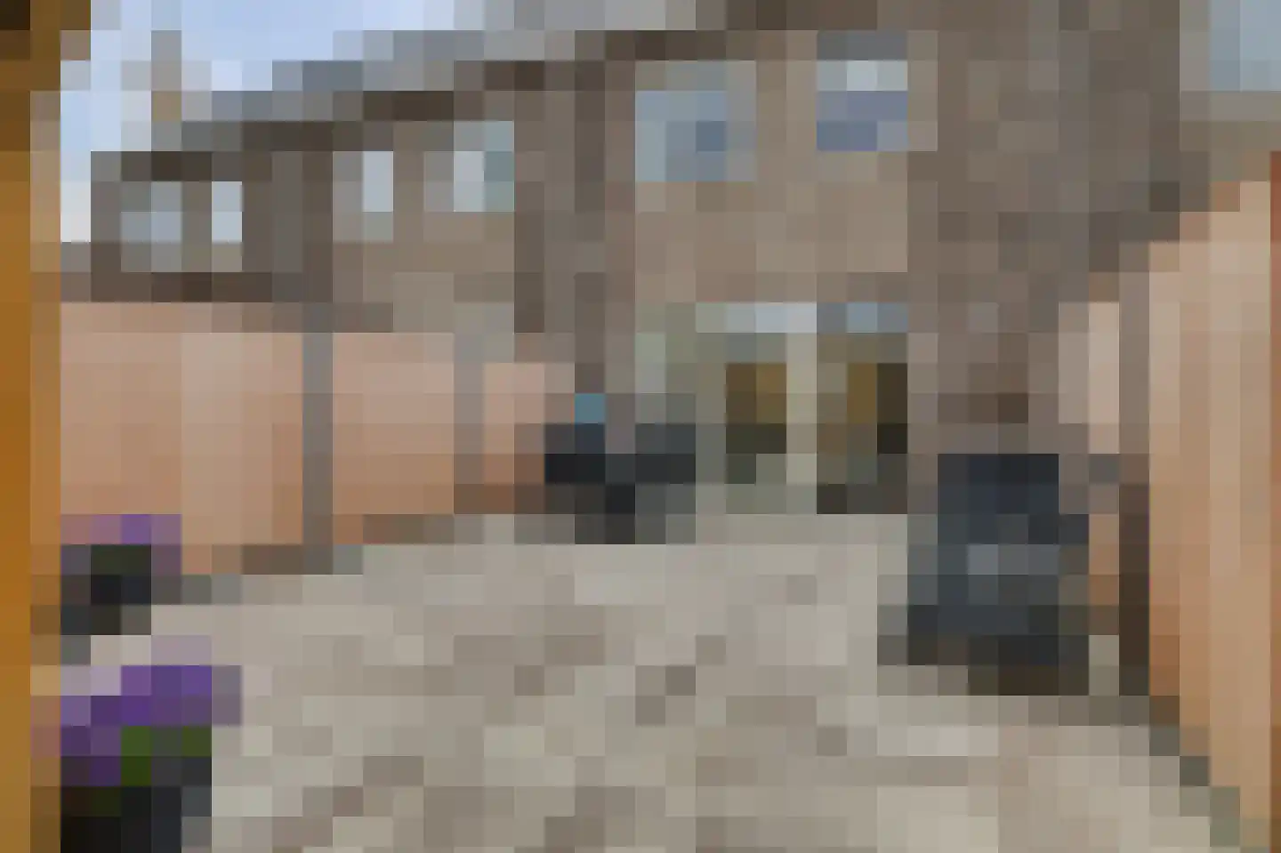Arianestraat 13 Wissenkerke thumbnail 24