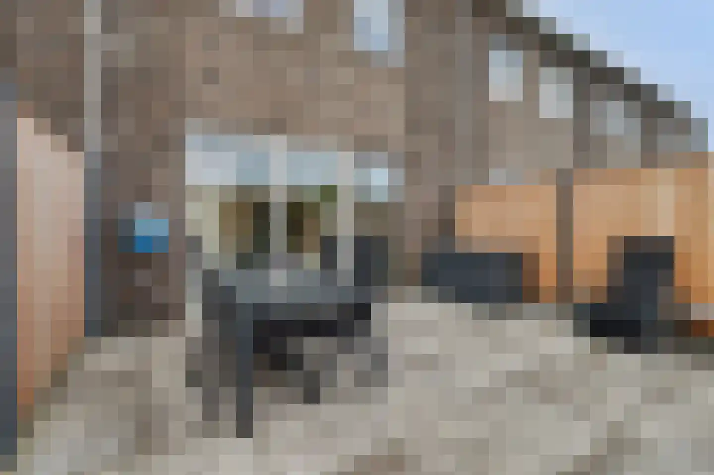 Arianestraat 13 Wissenkerke thumbnail 25