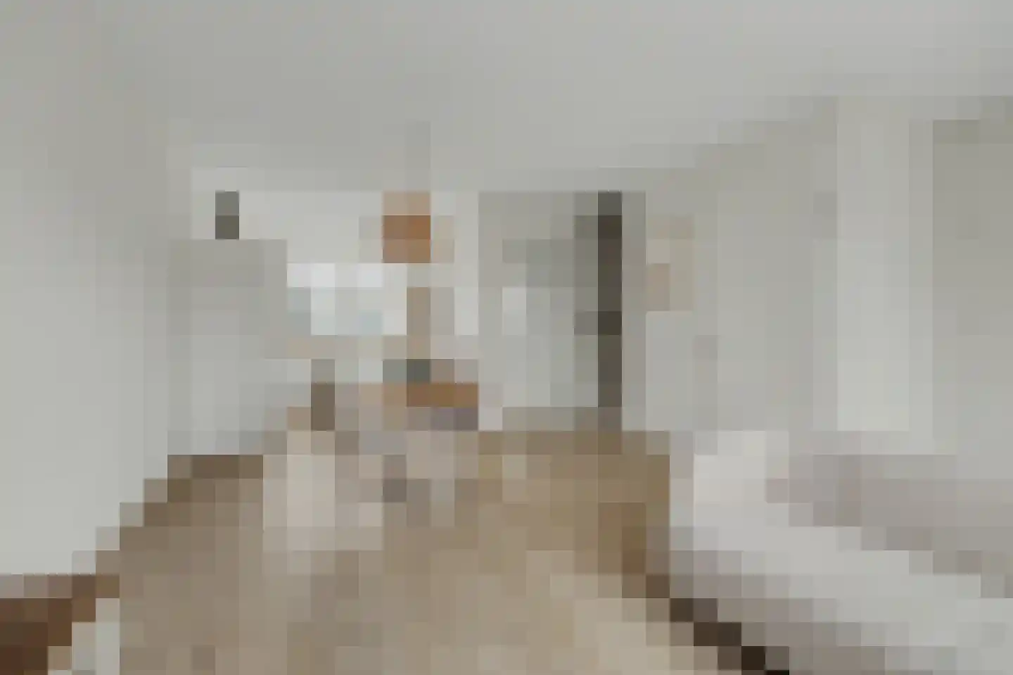 Arianestraat 13 Wissenkerke thumbnail 4