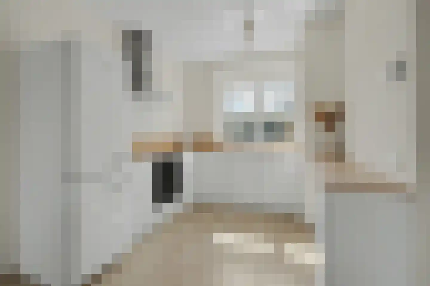 Arianestraat 13 Wissenkerke thumbnail 6