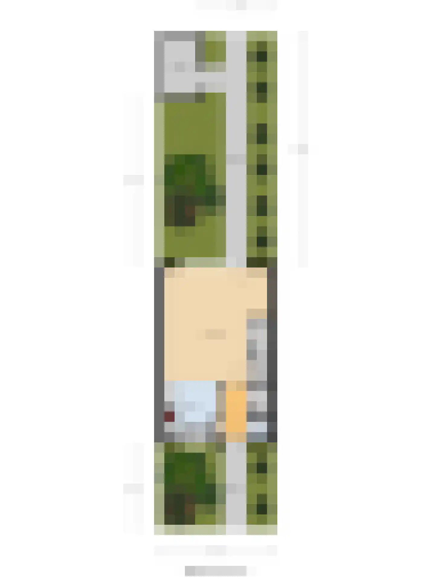 Arianestraat 15 Wissenkerke thumbnail 42