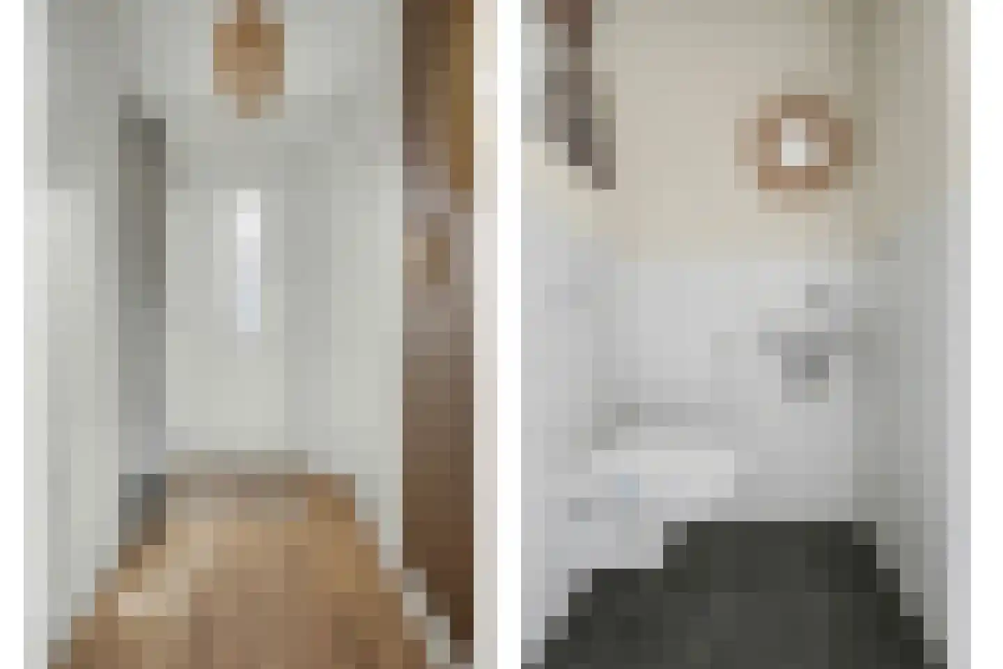 Arianestraat 15 Wissenkerke thumbnail 5