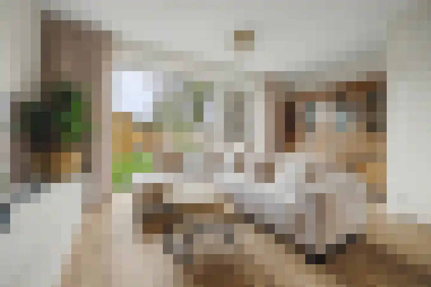 Arianestraat 15 Wissenkerke thumbnail 6
