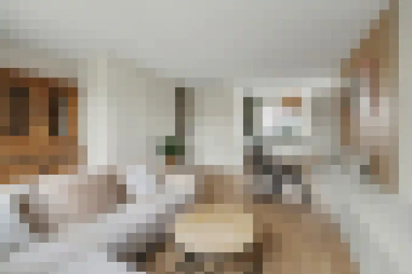 Arianestraat 15 Wissenkerke thumbnail 7