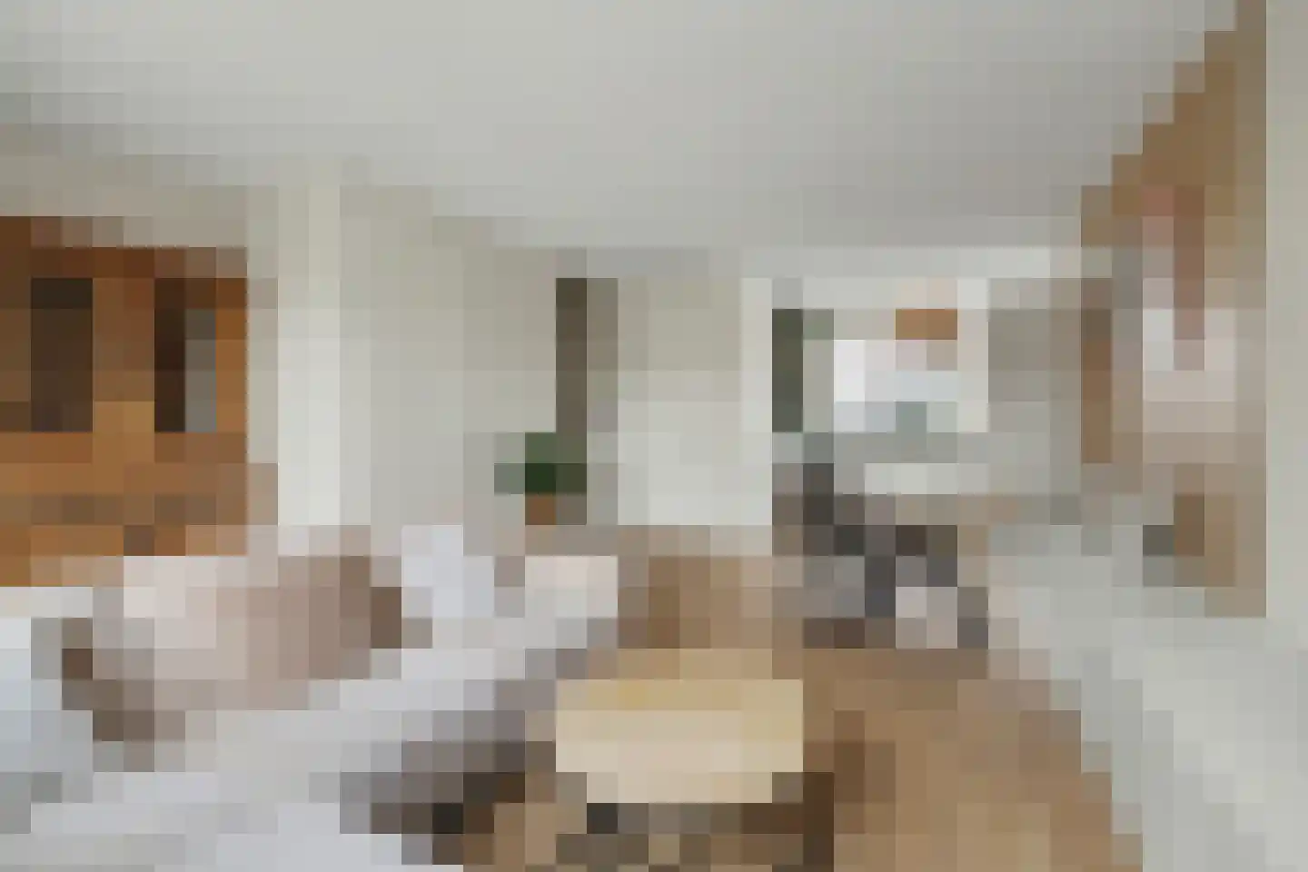 Arianestraat 15 Wissenkerke thumbnail 7