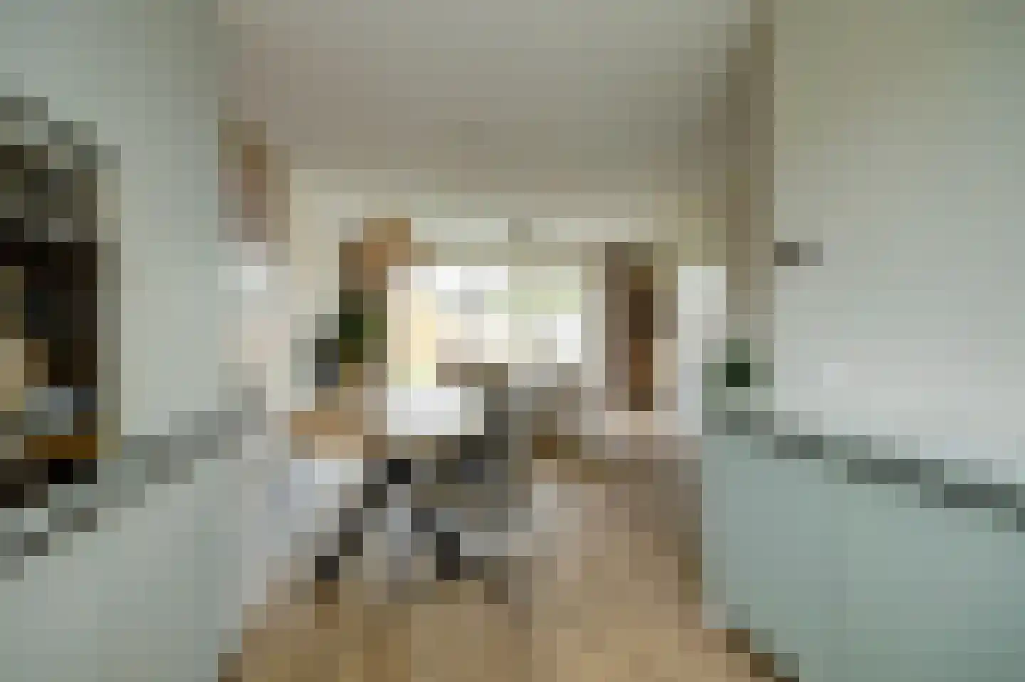 Arianestraat 15 Wissenkerke thumbnail 9