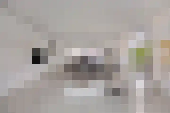 Arianestraat 7 Nederweert thumbnail 10