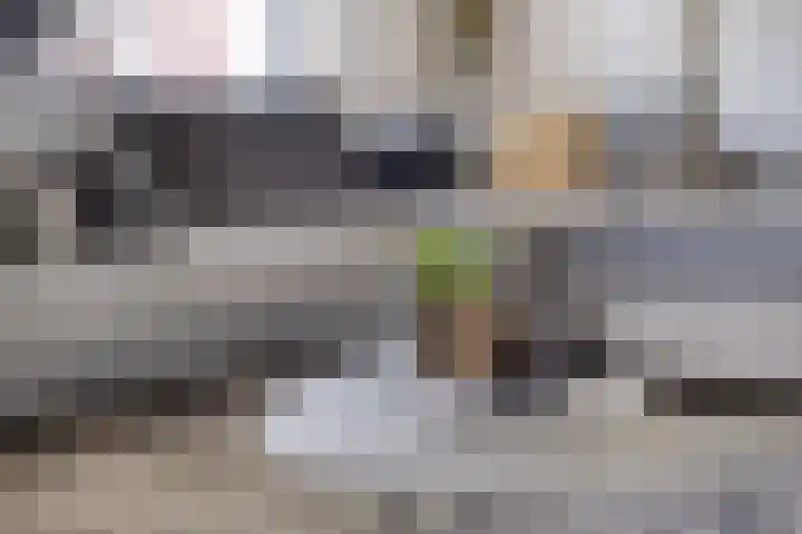 Arianestraat 7 Nederweert thumbnail 13