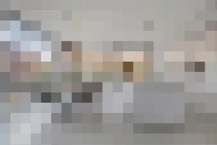 Arianestraat 7 Nederweert thumbnail 16