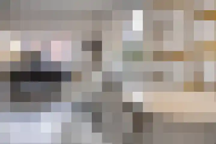 Arianestraat 7 Nederweert thumbnail 20