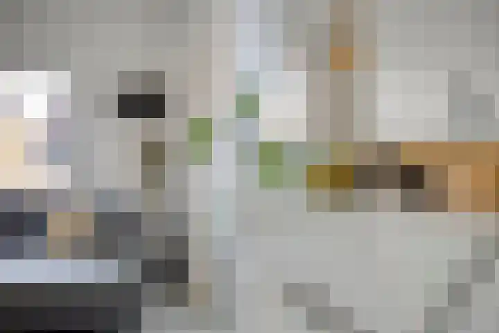 Arianestraat 7 Nederweert thumbnail 21
