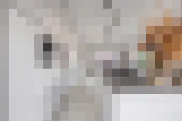Arianestraat 7 Nederweert thumbnail 23