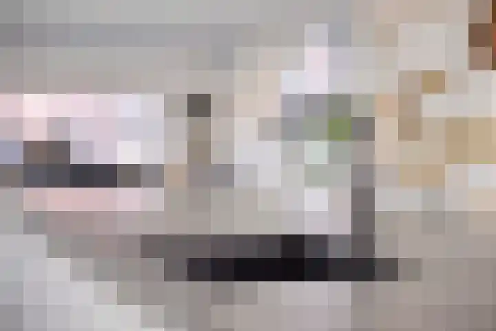 Arianestraat 7 Nederweert thumbnail 27