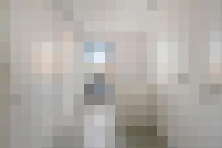 Arianestraat 7 Nederweert thumbnail 33