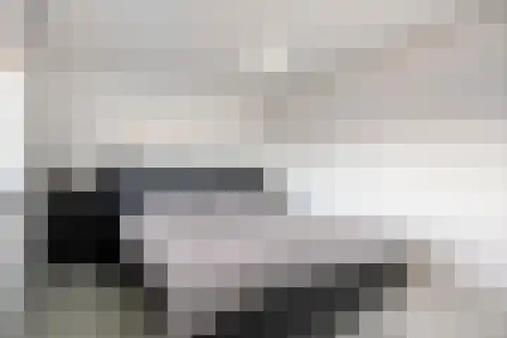Arianestraat 7 Nederweert thumbnail 35