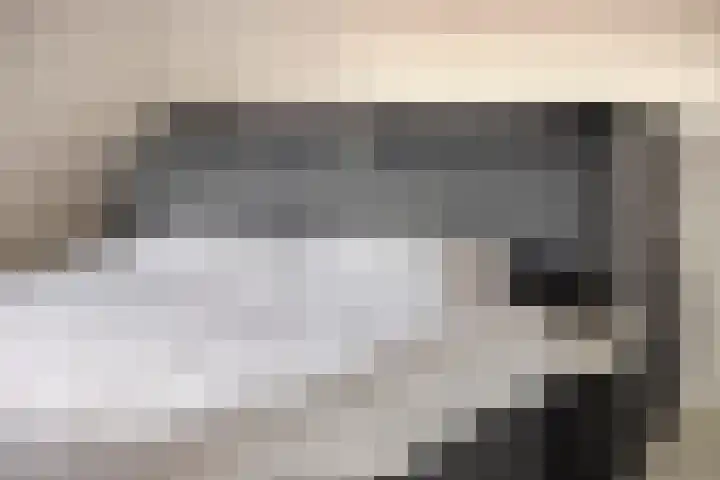 Arianestraat 7 Nederweert thumbnail 37