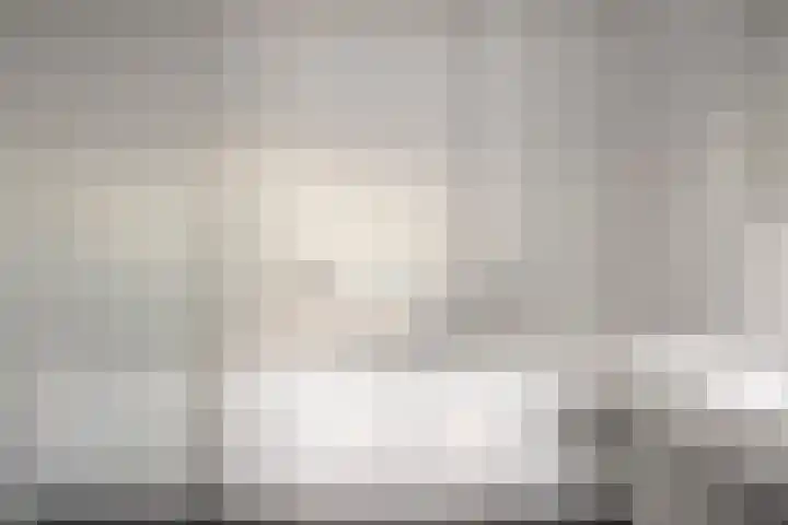 Arianestraat 7 Nederweert thumbnail 40