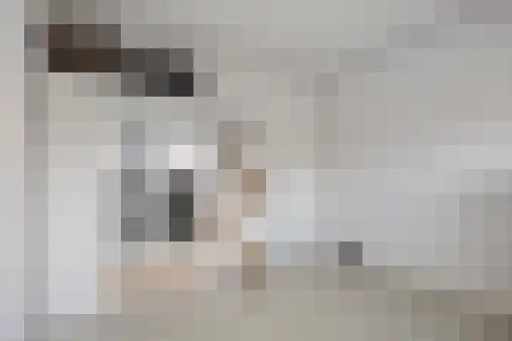 Arianestraat 7 Nederweert thumbnail 47