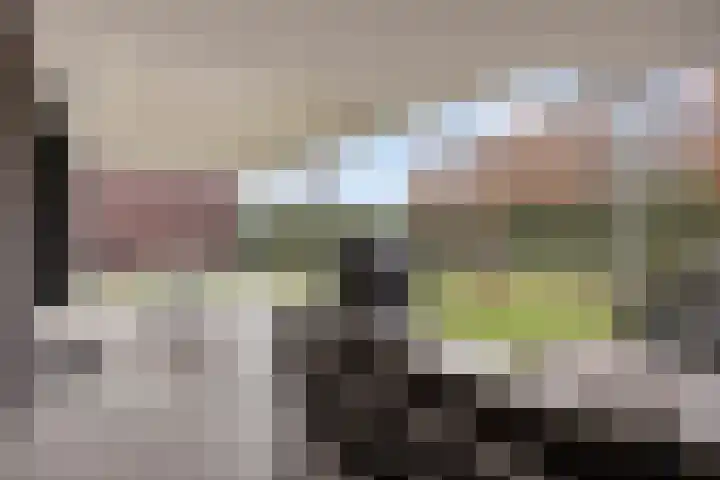 Arianestraat 7 Nederweert thumbnail 49