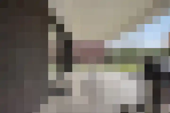 Arianestraat 7 Nederweert thumbnail 50