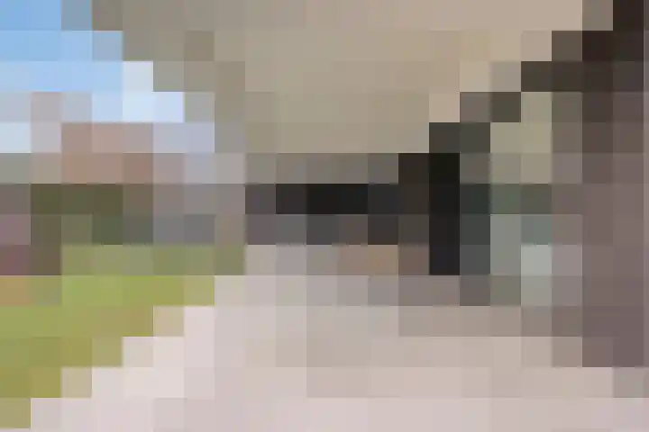 Arianestraat 7 Nederweert thumbnail 51