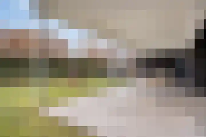 Arianestraat 7 Nederweert thumbnail 52