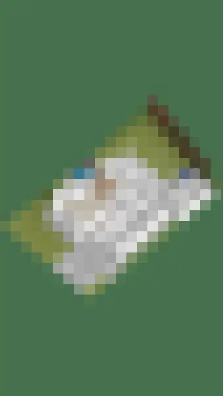Arianestraat 7 Nederweert thumbnail 63