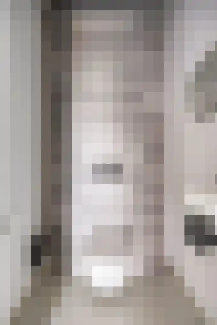 Arianestraat 7 Nederweert thumbnail 7