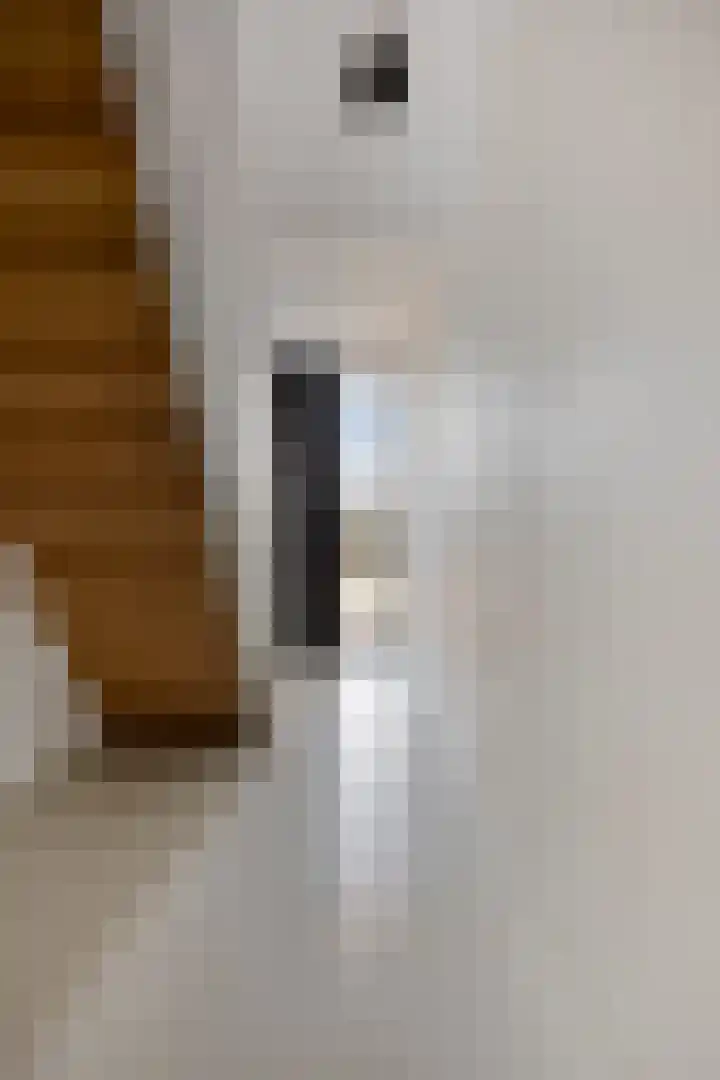 Arianestraat 7 Nederweert thumbnail 8