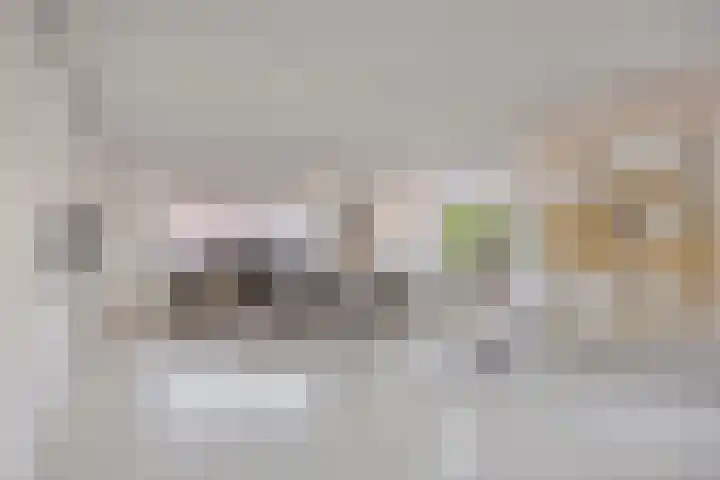 Arianestraat 7 Nederweert thumbnail 9