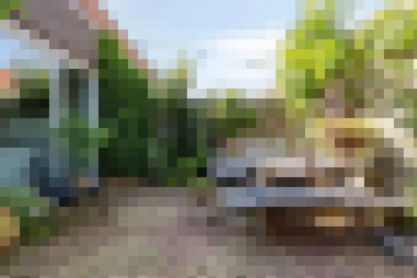 Ariannalaan 13 Nieuw-Vennep thumbnail 14