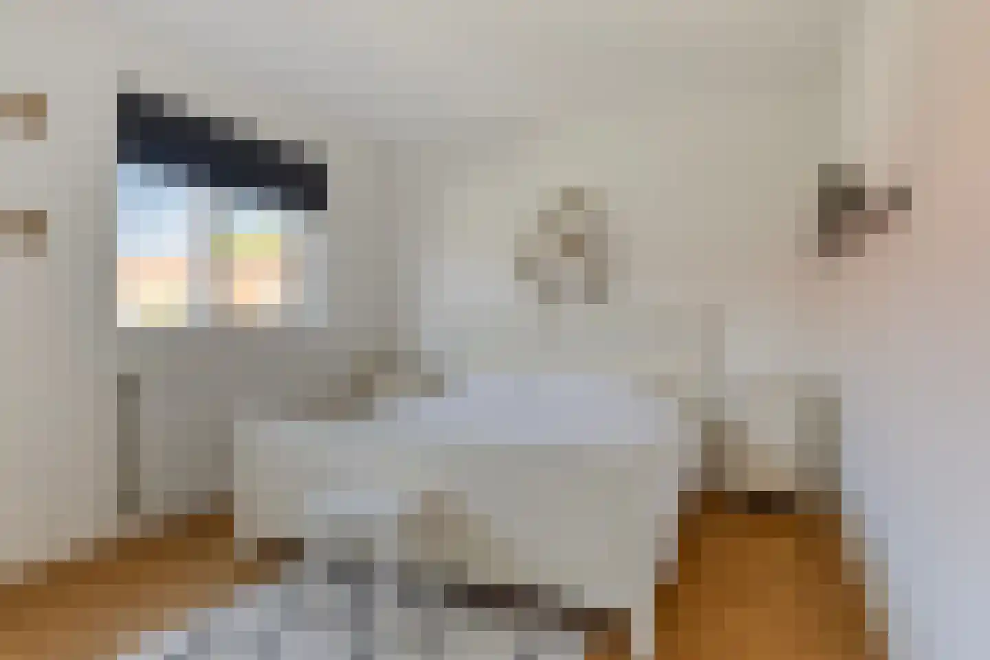 Ariannalaan 13 Nieuw-Vennep thumbnail 18