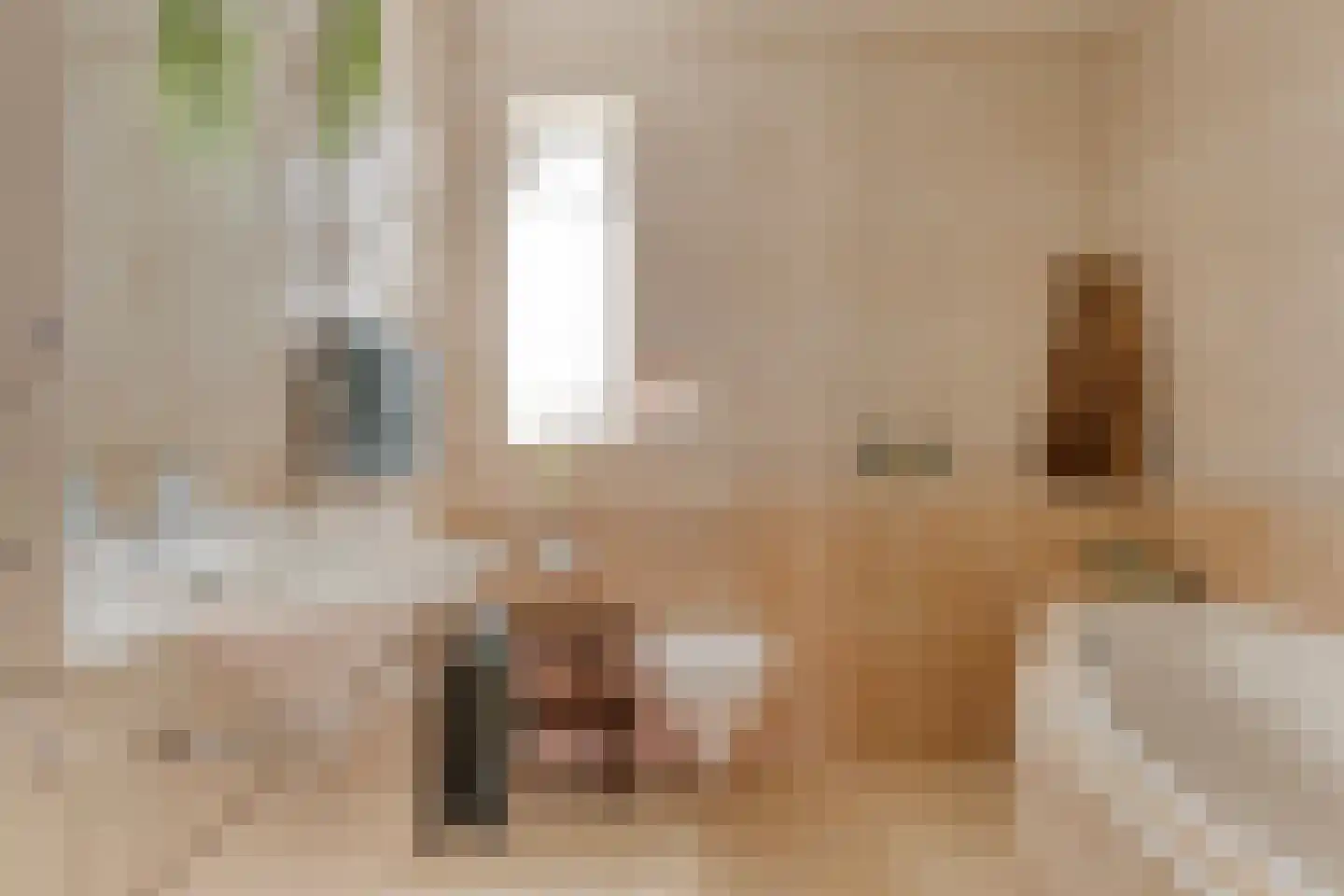 Ariannalaan 13 Nieuw-Vennep thumbnail 20