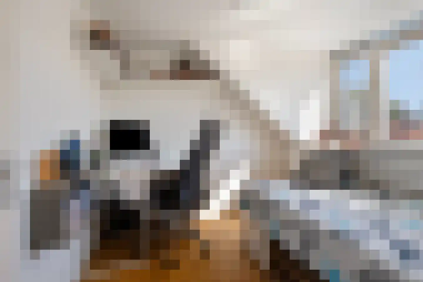 Ariannalaan 13 Nieuw-Vennep thumbnail 25