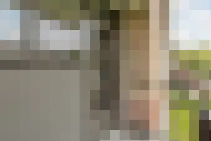 Ariaplein 100 Amersfoort thumbnail 13
