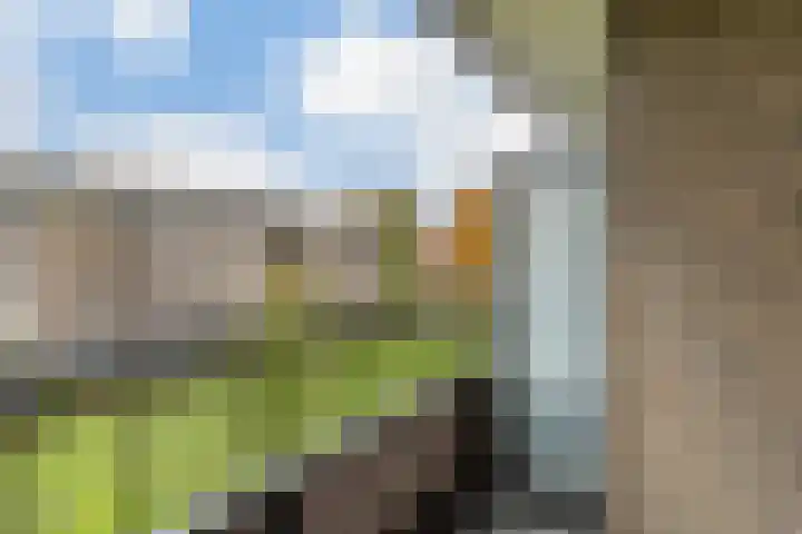 Ariaplein 100 Amersfoort thumbnail 15