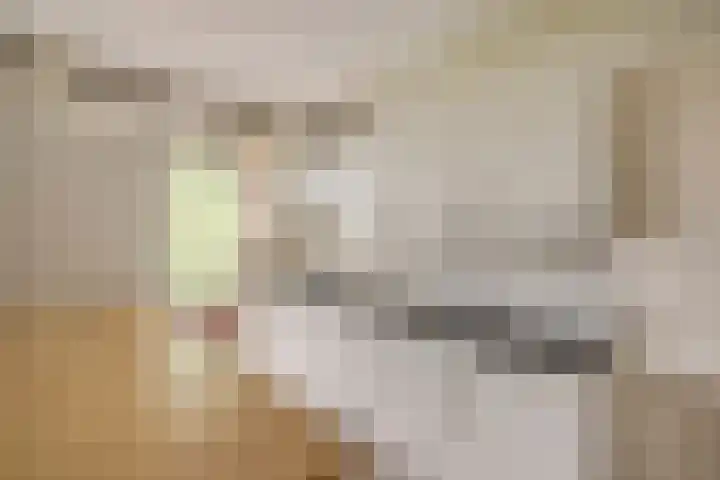 Ariaplein 100 Amersfoort thumbnail 17