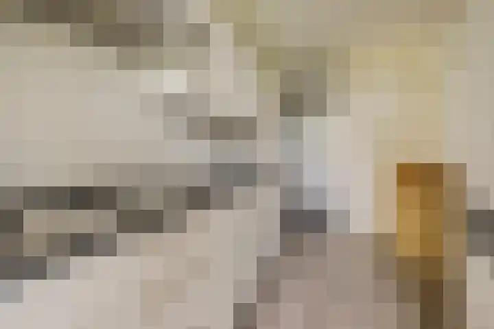 Ariaplein 100 Amersfoort thumbnail 19